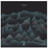 Bleak