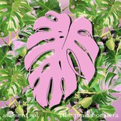 The Pink Monstera