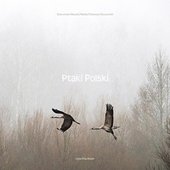 Ptaki Polski