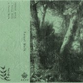 Forest Walk