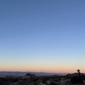 0028543856_10.jpg