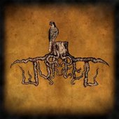 Wurzel