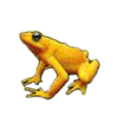 Avatar for tabusive