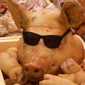 Avatar for pork2093