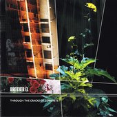 Through The Cracks Of Concrete