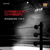 Ringside View