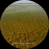 a low tide slender for my tiffany gray (taâlem advent calendar 2025 - day 17)