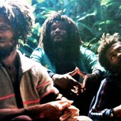 The Congos