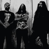 Insolitum (Brazil)