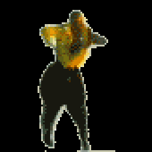 Avatar for stankit