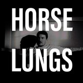 Horse Lungs