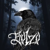 bolzo lastfm.jpg