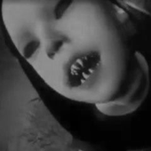vixemss 的头像