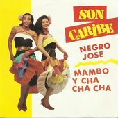 Mambo Y Cha Cha Cha, Viva La Salsa !