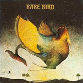 Rare Bird