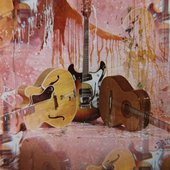 Exotic Guitars_5.JPG