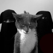 Sesso Violento and a cat