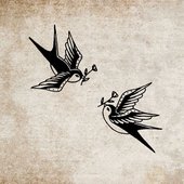 Sparrow Paradise