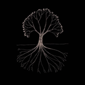 Avatar for Algaru3398