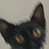 Hoooverlol 的头像