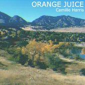 Orange Juice - Single