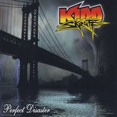 Perfect Disaster