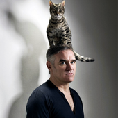 Morrissey-8.png