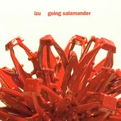 Going Salamander