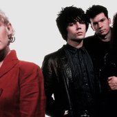 The Primitives