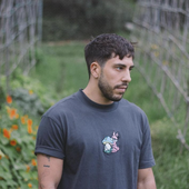 Saul Mateo