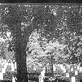 The Ceremony Of Life & Death