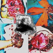 TheSmellOfStomaInTheMorning