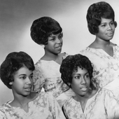 Marvelettes-1.png