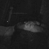 Looking Out My Window, Stuck Inside From Fear