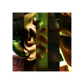 Enigma