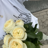 anetexdd 的头像