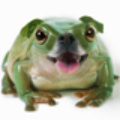 LastFM profile picture for @badges