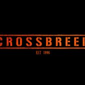 Crossbreed