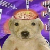 Avatar for MrNuggetBombs