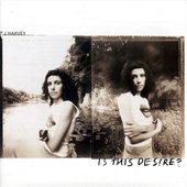 PJ Harvey - Is This Desire (1080x1080)