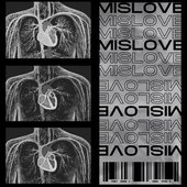 MISLOVE