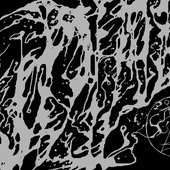 0012029538_10.jpg