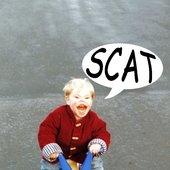 Electronica project SCAT art