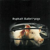 Pigs
