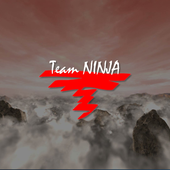 Team NINJA