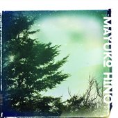Lunisolar