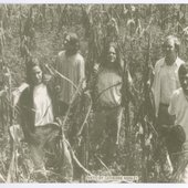 Black Creek Band - CD Photo - Live From Gainsville