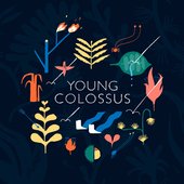 Young Colossus