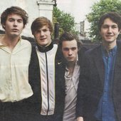 palma violets