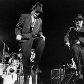 thebluesbrothers